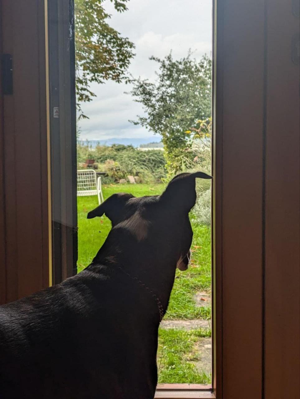 Chalet sul Trasimeno SantʼArcangelo Esterno foto