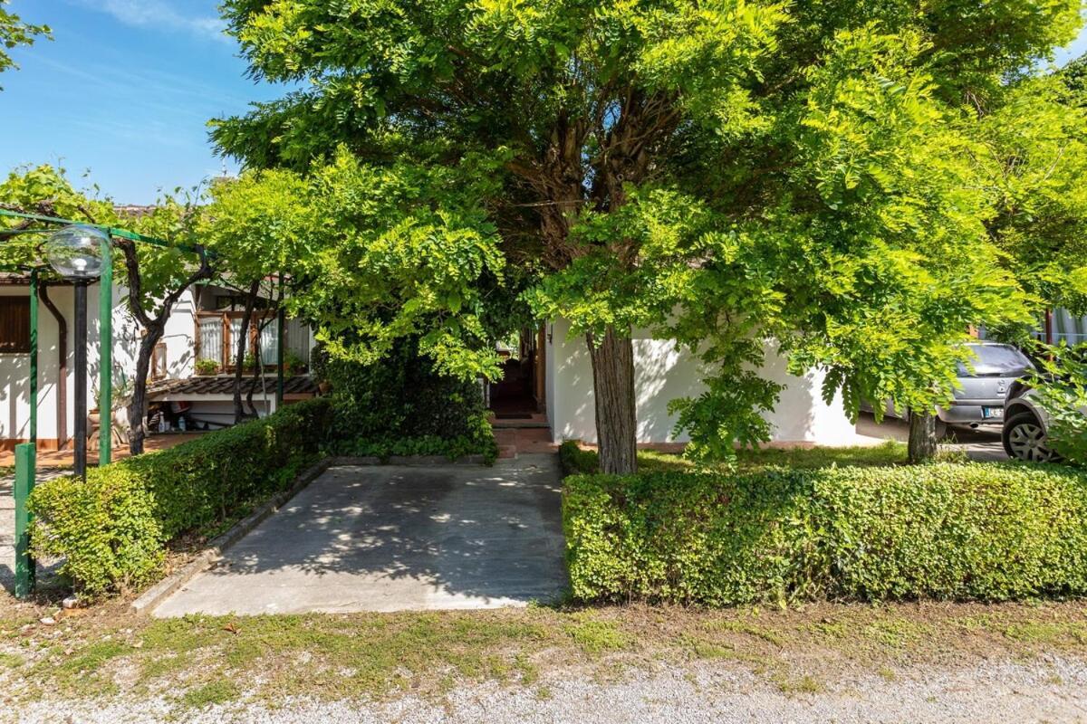 Chalet sul Trasimeno SantʼArcangelo Esterno foto