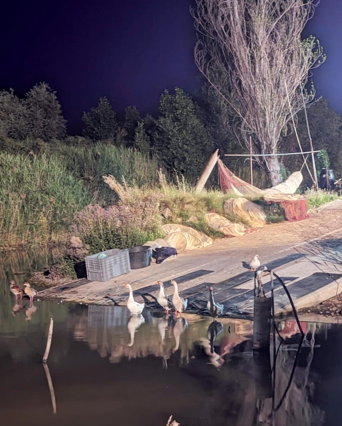 Chalet sul Trasimeno SantʼArcangelo Esterno foto