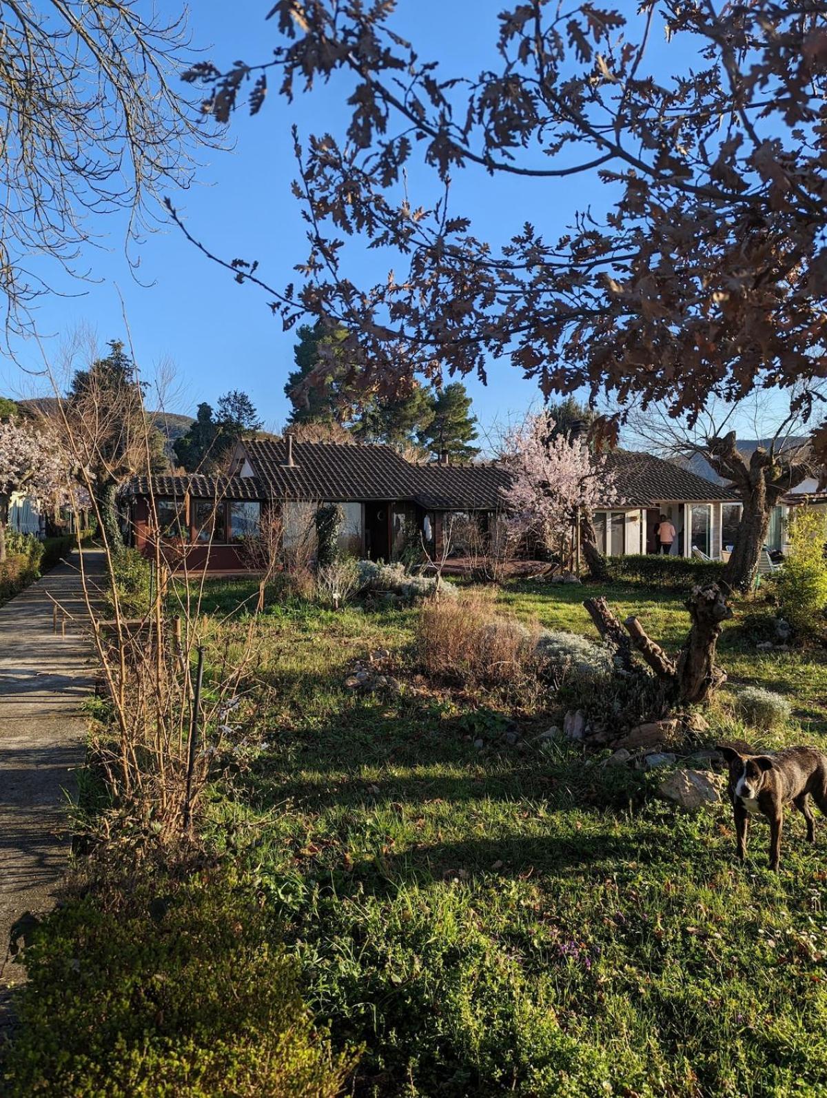 Chalet sul Trasimeno SantʼArcangelo Esterno foto